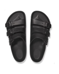 Florida Papillio black