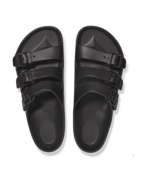 Florida Papillio black