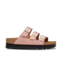 Papillio Florida pink clay