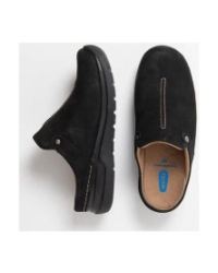 Holland black