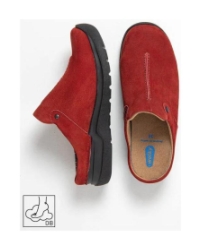 Holland cherry red