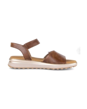 Gabor camel