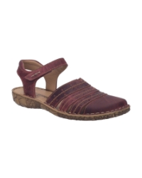 Rosalie 33 orchidee