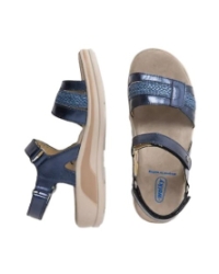 Fantom Elite blue