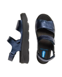 Medusa Elite blue