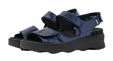 Medusa Elite blue