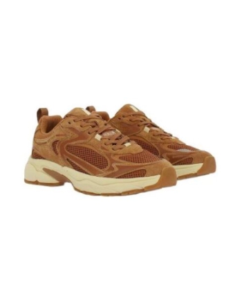 EXTR4 D-kin GTX cognac