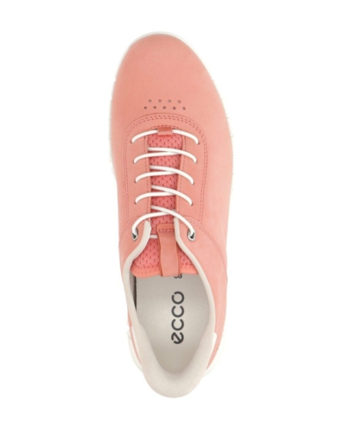Gruuv Lite W burnt coral