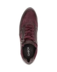 mulberry