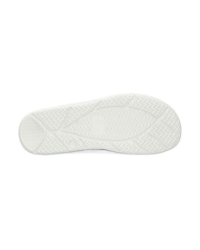 Otaru ivory/shell