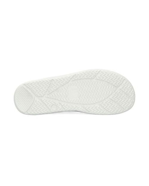 Otaru ivory/shell