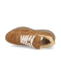 West biscuit brown