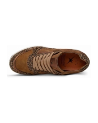 Pristina leopard