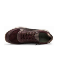 SWX 27 burgundy combi