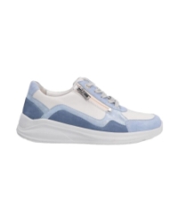 Kitty ponza multi