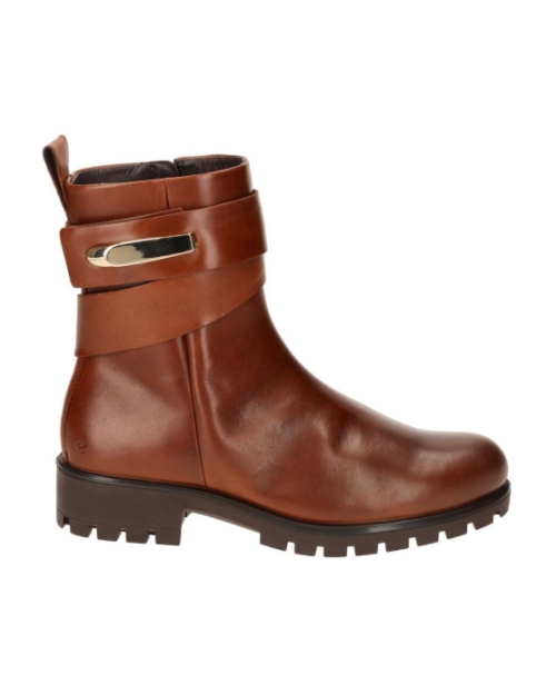 Modtray cognac