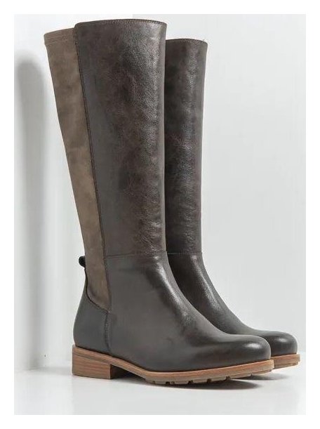Hampton brown