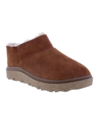 Carmaux 11 camel