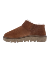 Carmaux 11 camel