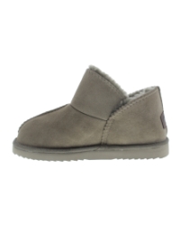 Willow moss